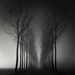 Güliksir gülsuyu instagram takipçisi.