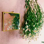 Güliksir gülsuyu instagram follower